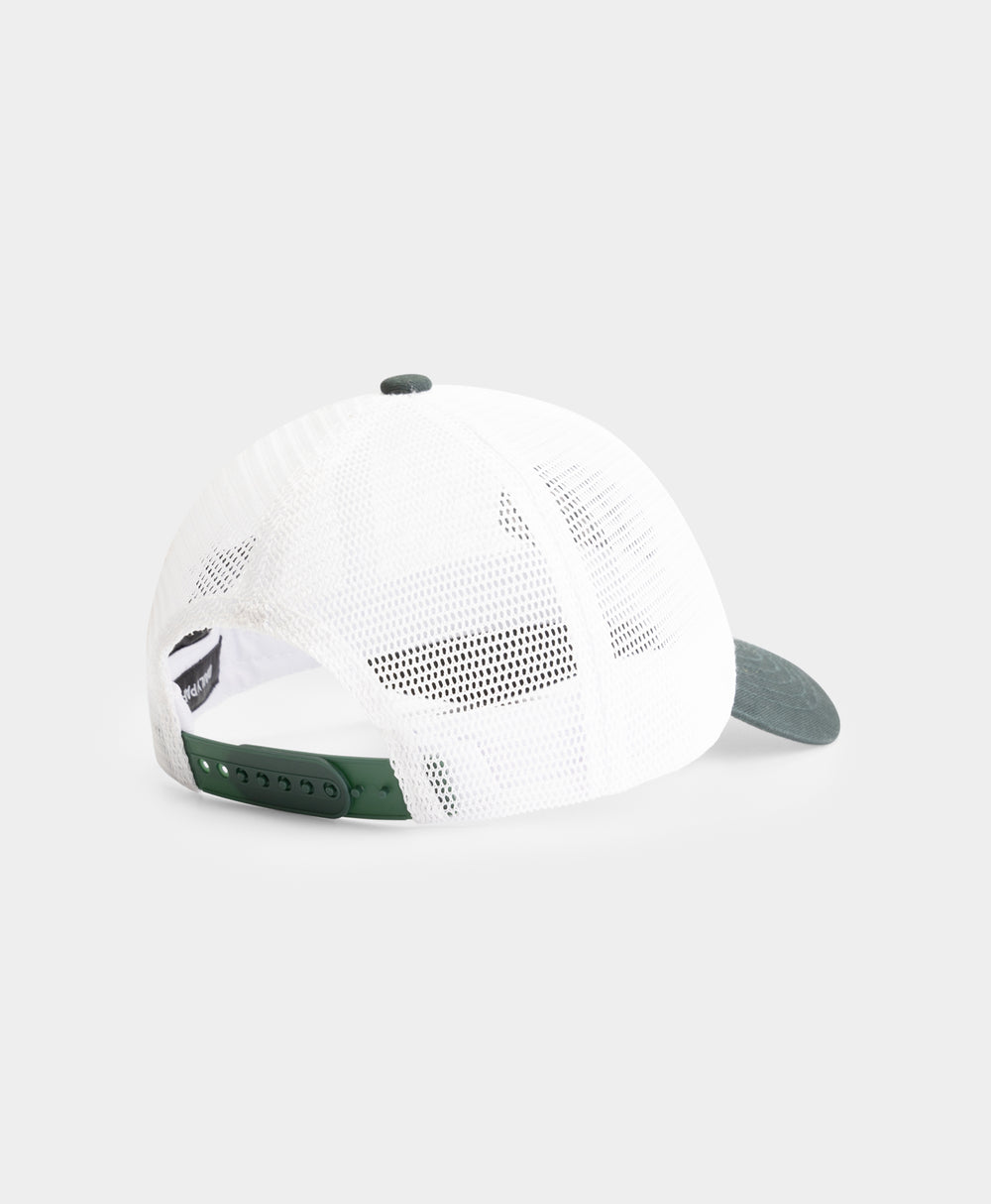 DP - Blanc De Blanc White Mesh Cap - Packshot - Rear