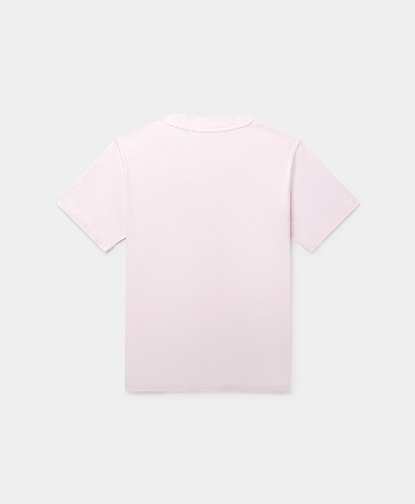 DP - Ice Pink Diverse Logo  T-Shirt - Packshot - Rear
