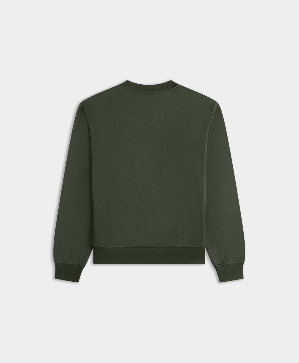 DP - Rosin Green Orbit Emb Sweater - Packshot - rear