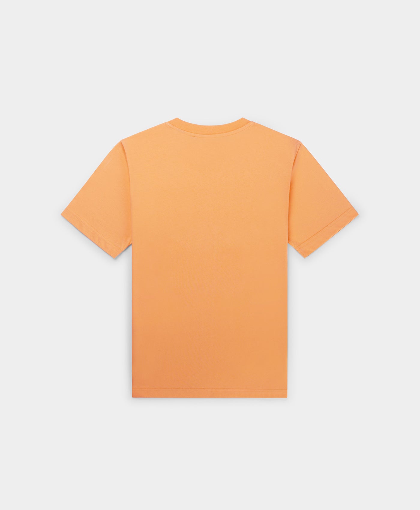 DP - Tangerine Orange Raisa T-Shirt - Packshot - Rear