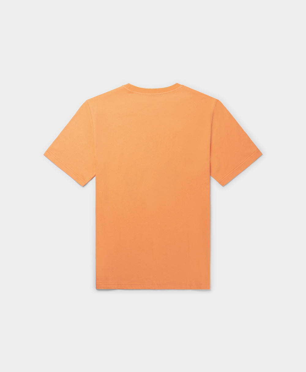 DP - Tangerine Orange Rivo T-Shirt - Packshot - Rear