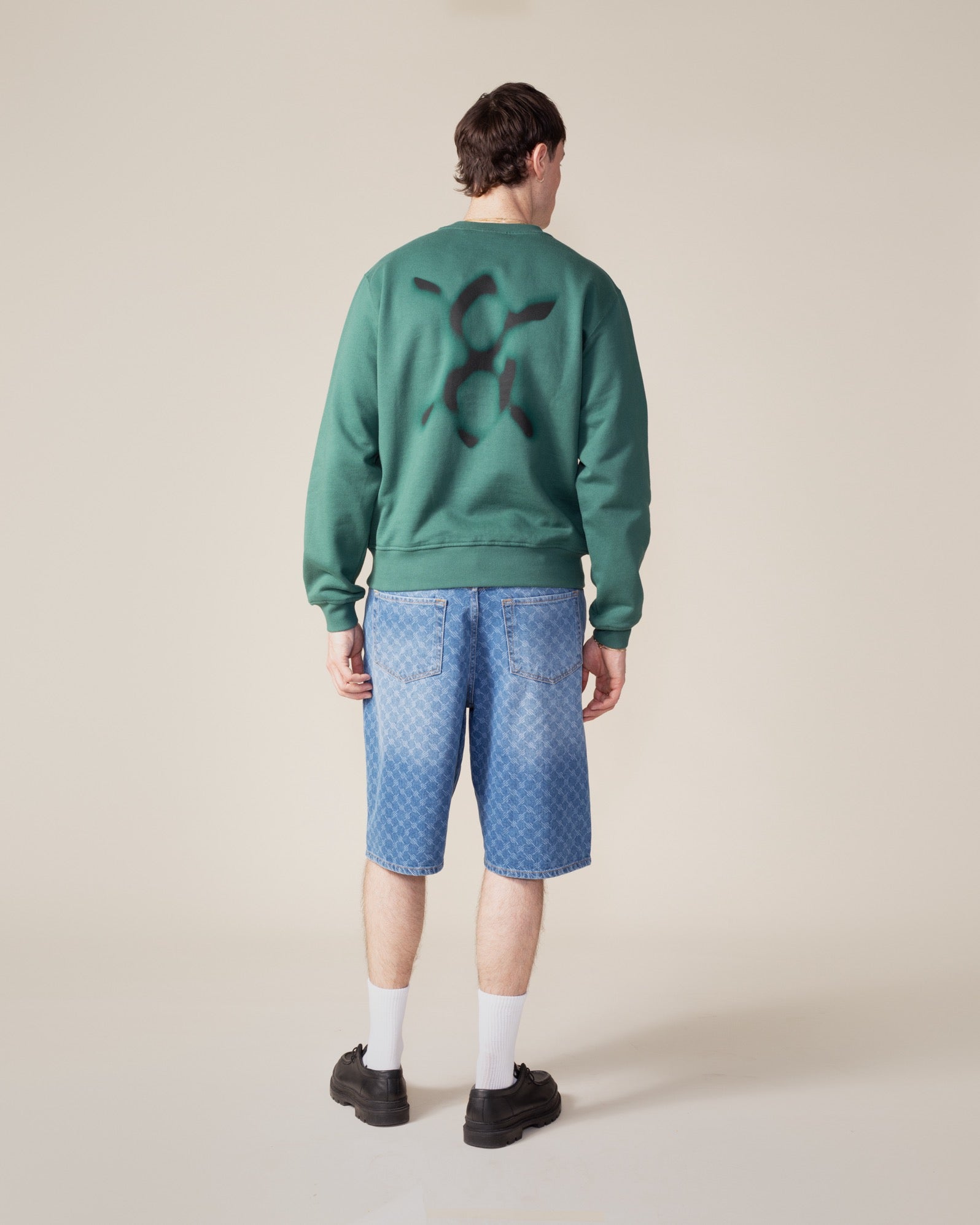 DP - Bistro Green Shield Focus Sweater - Modelshot - front