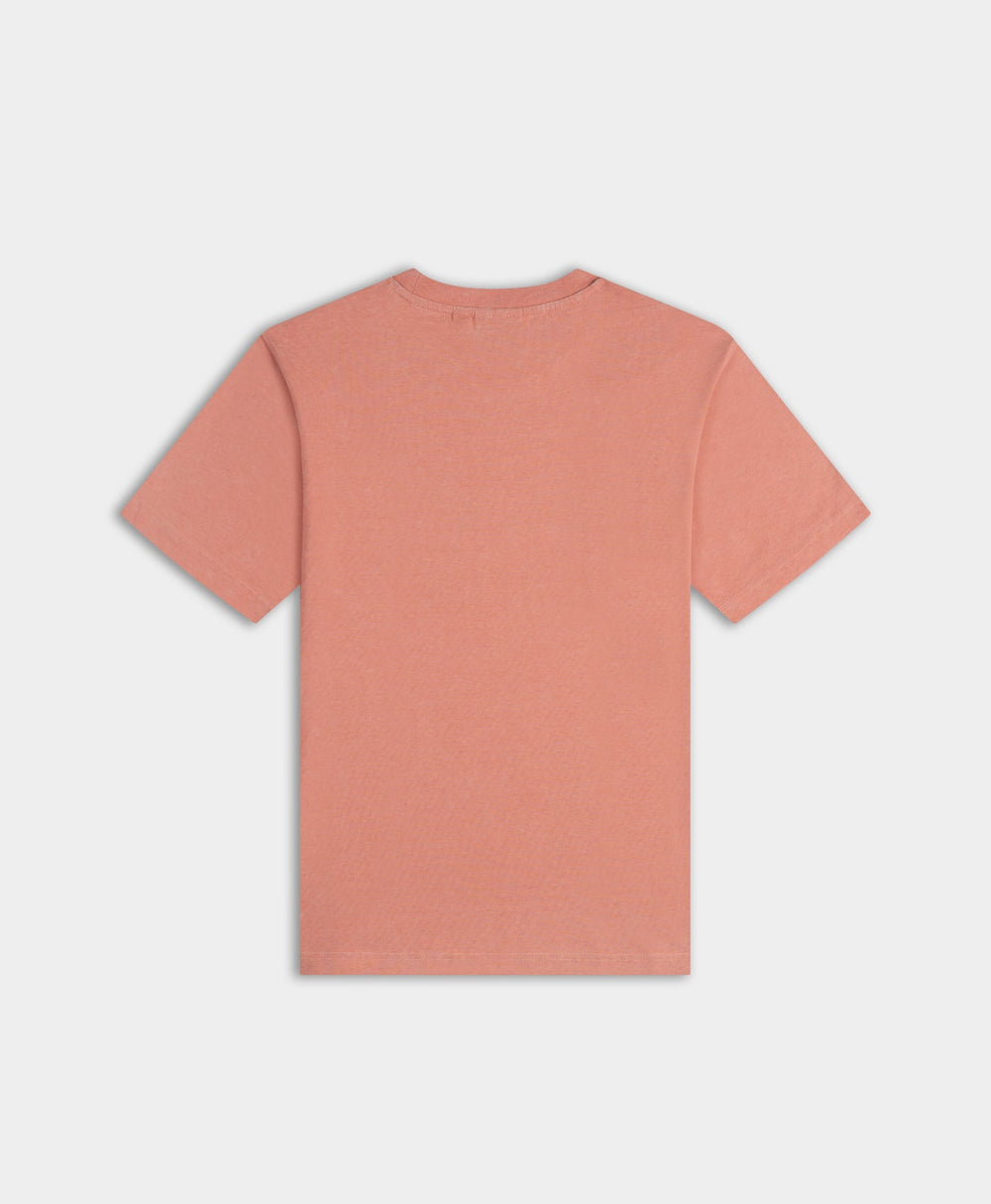 DP - Washed Canyon Clay DP Blocked SS T-Shirt - Packshot - Rear