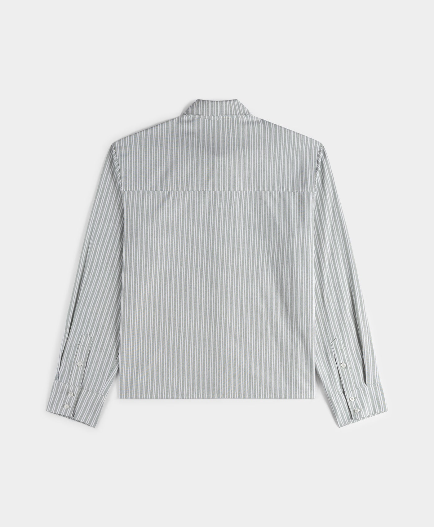 DP - Green Stripe Stripe Script Shirt - Packshot - rear