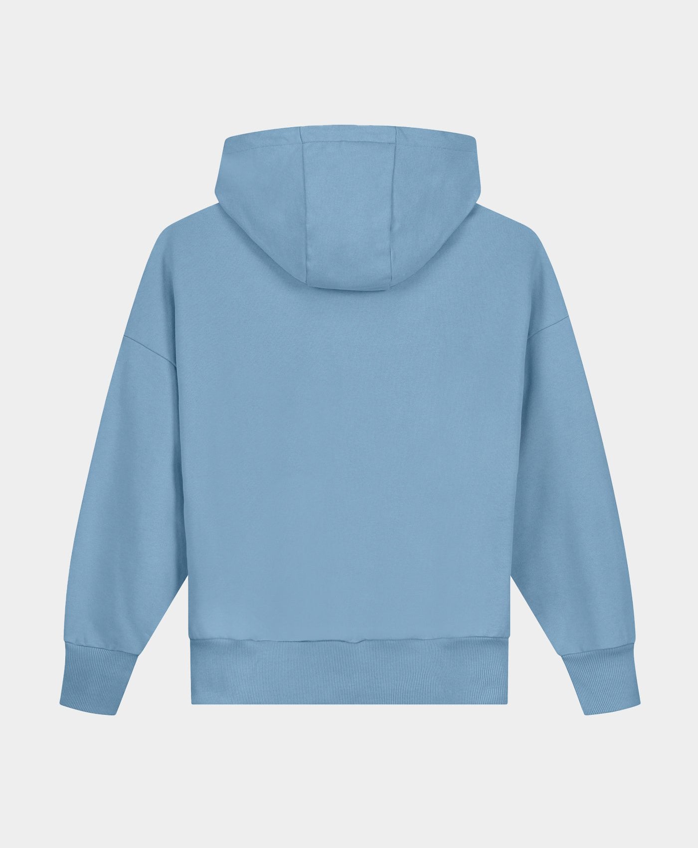 DP - Allure Blue Ehowa Hoody - Packshot - Rear