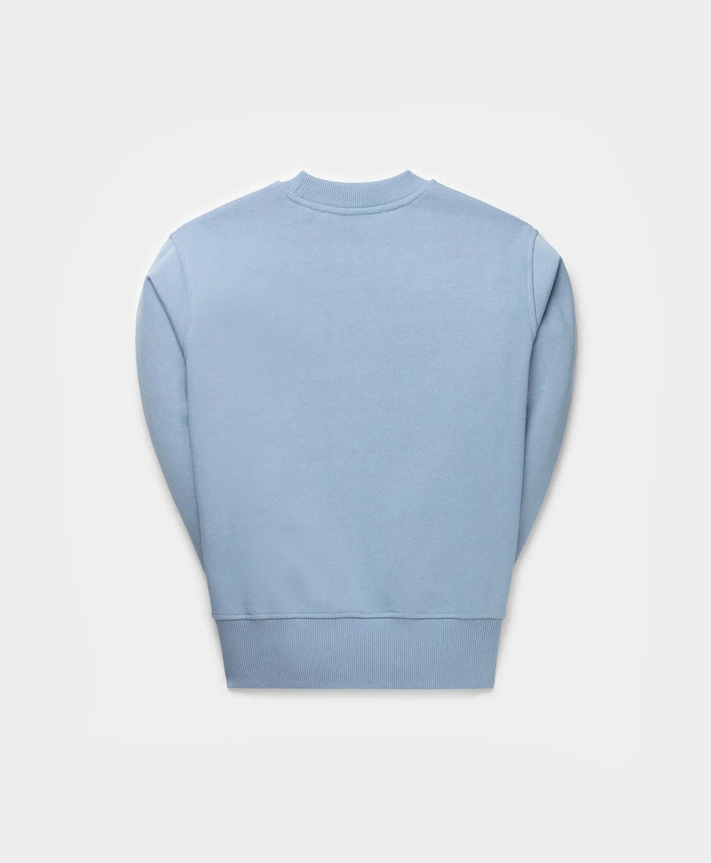 DP - Rainwashed Blue Youth Sweater - Packshot - Rear